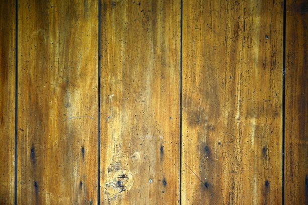 老木的背景图片下载