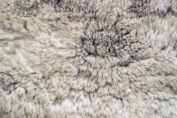 皮毛纹理图片下载