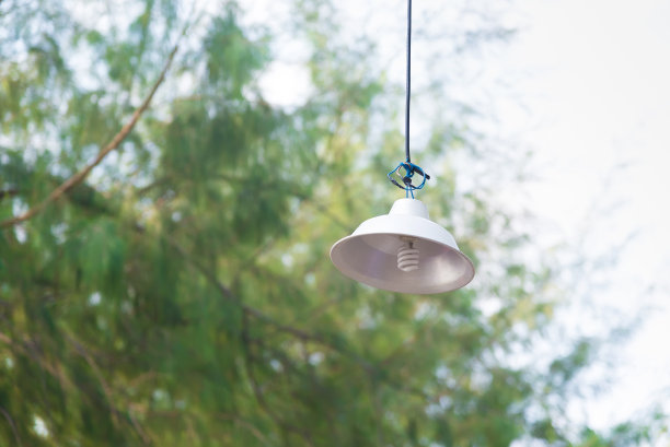 松树背景吊灯图片下载