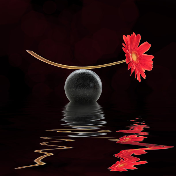 红色雏菊沉思的静物图片下载