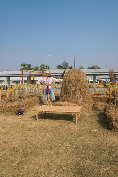 乡下的稻草人图片下载