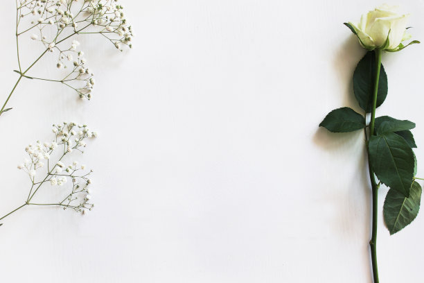 模型与玫瑰素材图片