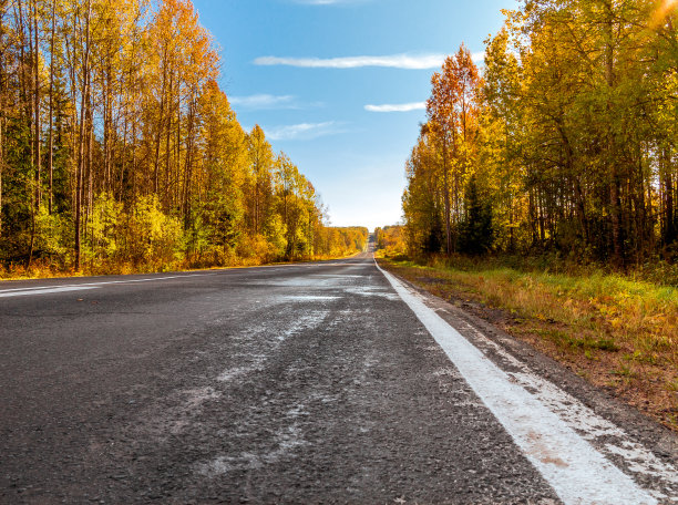 沥青路穿过秋天的树林。图片下载