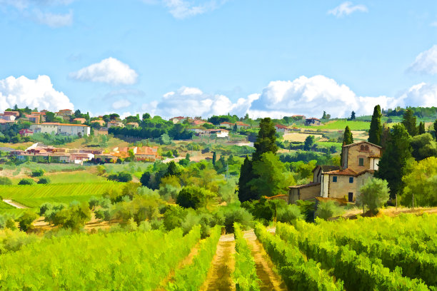 城市附近的葡萄园图片下载