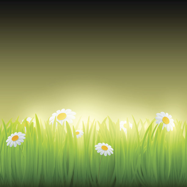 绿色的草和花。图片下载