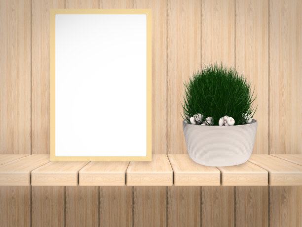 花盆与空白框架图片下载