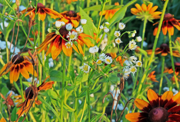 油画《草地上的花》的程式化照片图片下载