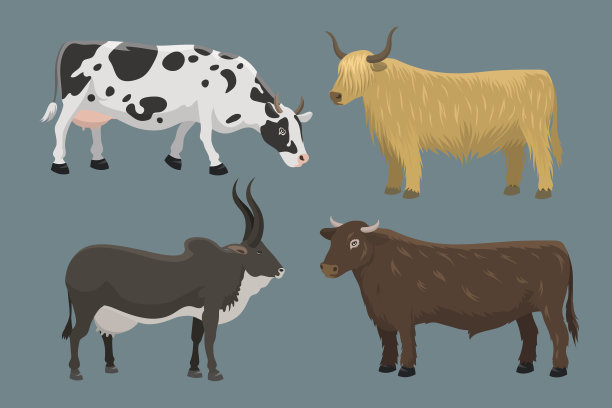 公牛和奶牛农场动物载体插图图片下载