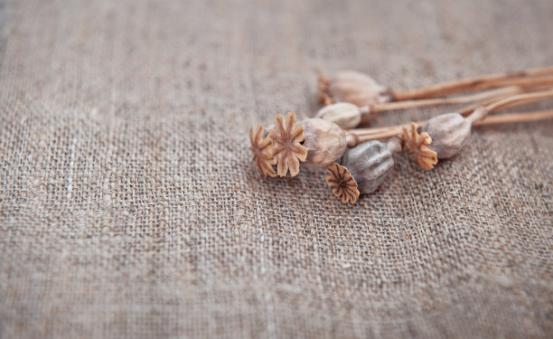 垃圾背景与干植物在粗布纹理图片下载