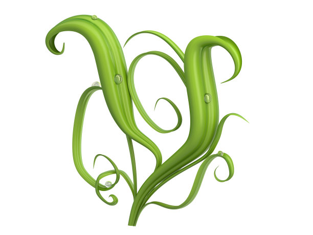 植物字体与露珠图片下载