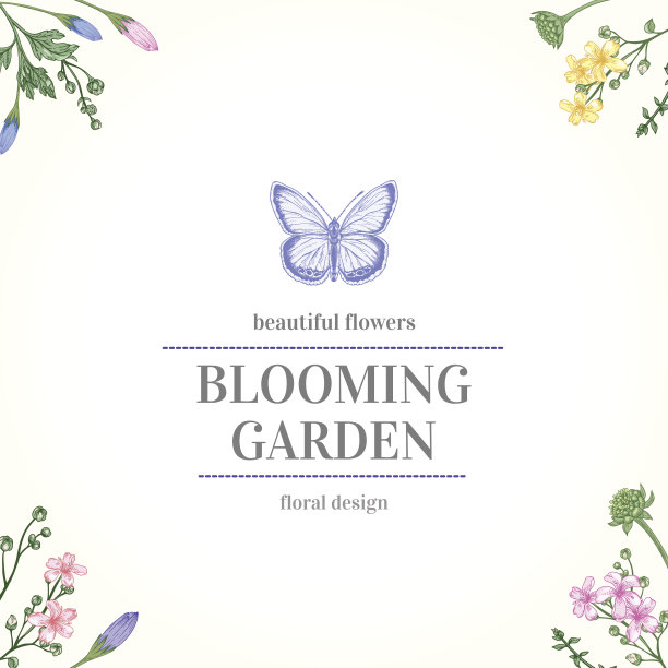 框架与花园花。图片下载