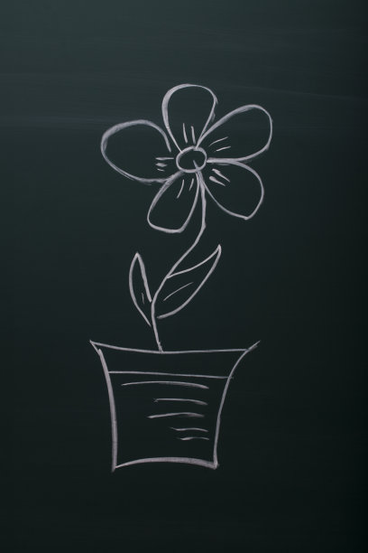 一朵花的图片图片下载