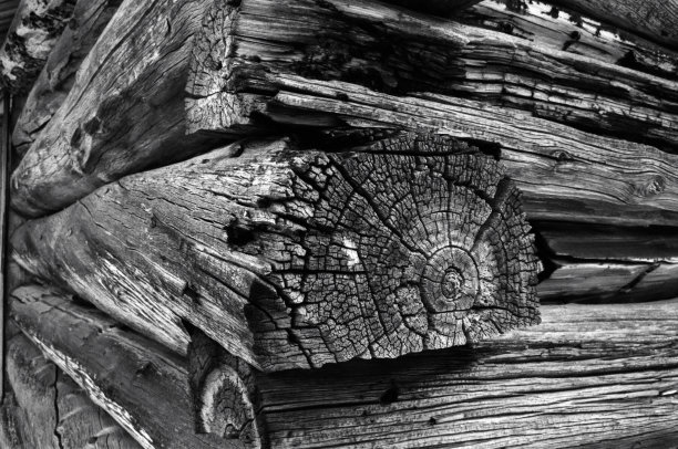 老木纹木屋图片下载