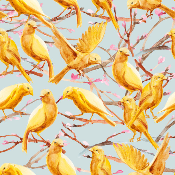 天衣无缝的手绘水彩画充满了生机与金丝雀。春季设计的t恤，请帖，婚礼卡片或纺织品图片下载