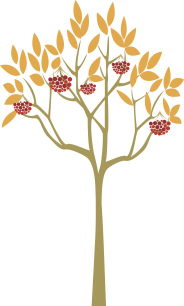 抽象花楸树图片下载