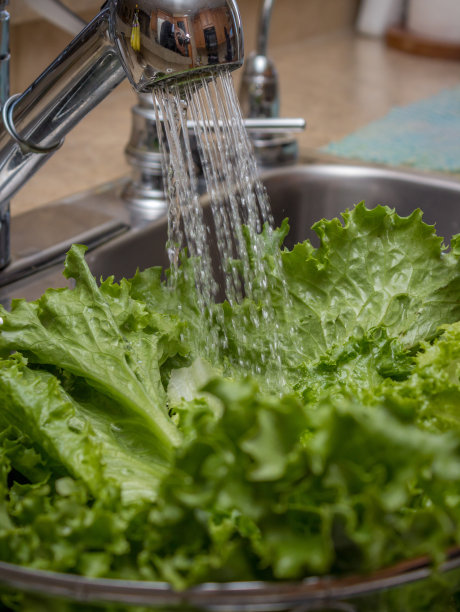 生菜洗图片下载