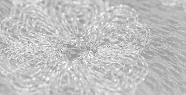 美丽的花边图片下载