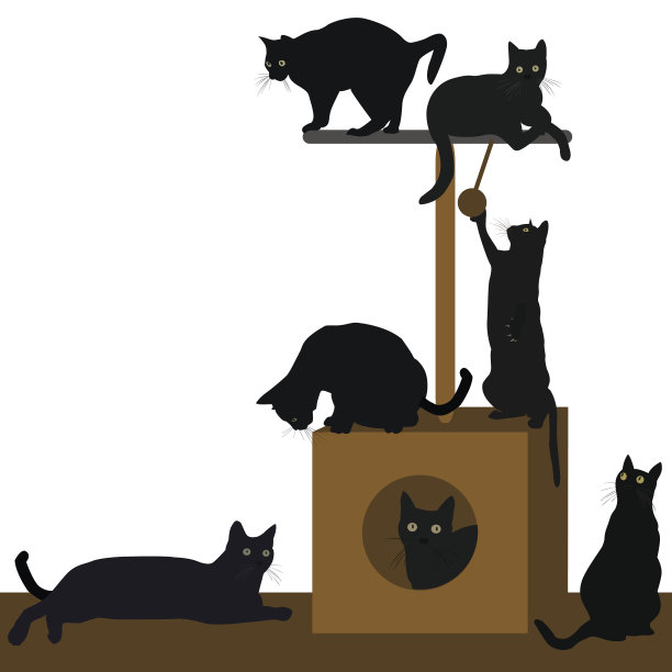 猫在猫屋里玩耍或休息图片下载