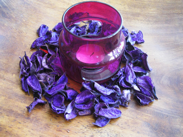 蜡烛在淡紫色烛台装饰紫色披肩醋栗图片下载