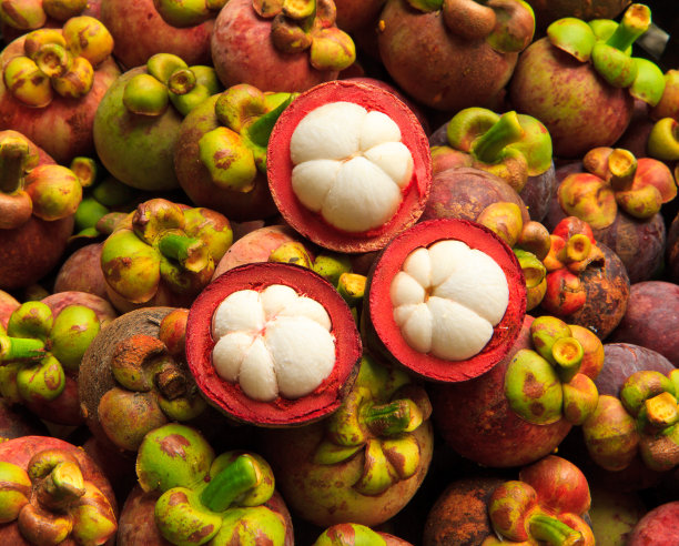 山竹果图片下载