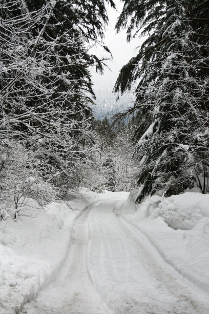 弯弯曲曲的雪衬着冬日的道路图片下载