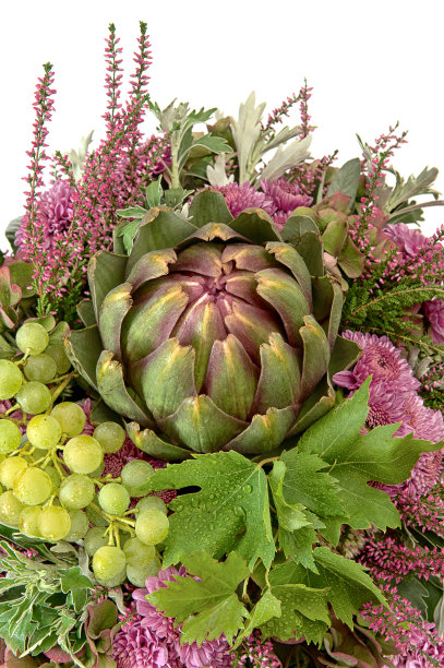 菊花与酒葡萄的排列图片下载