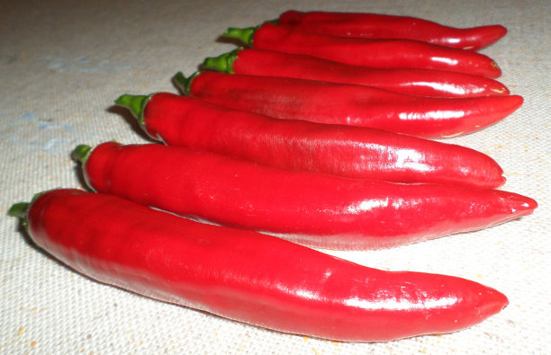 辣椒角度图片下载