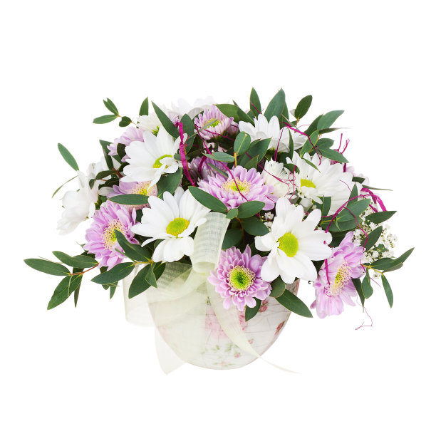 花束从非洲菊在花瓶孤立的白色背景图片下载