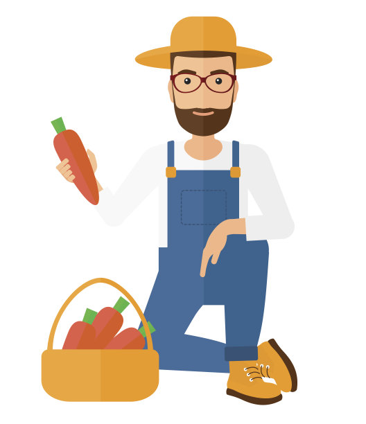 农民收集胡萝卜图片下载