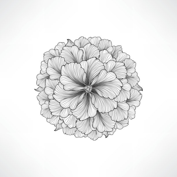 花的背景。雕刻装饰大丽花。图片下载