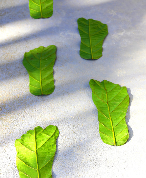 碳足迹的概念图片下载