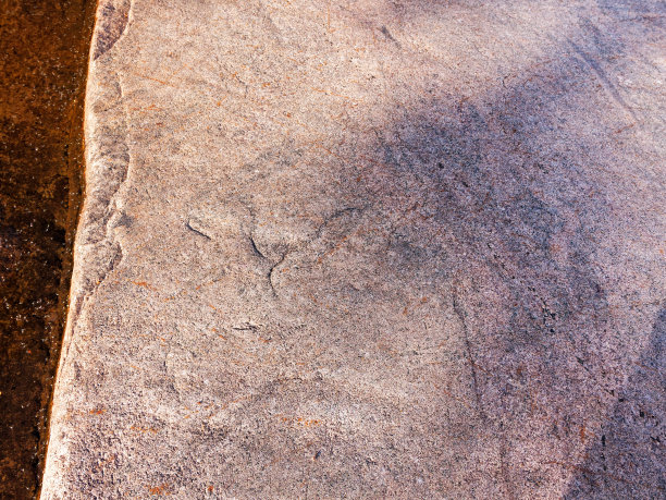 奥涅加湖岸花岗岩上的古代岩画图片下载