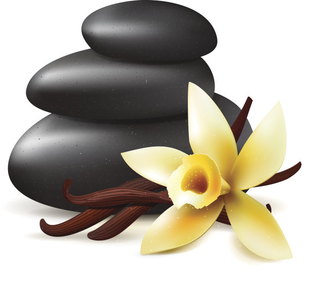 Spa芳香疗法图片下载