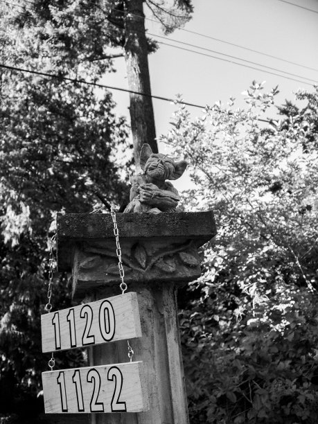 滴水嘴图片下载