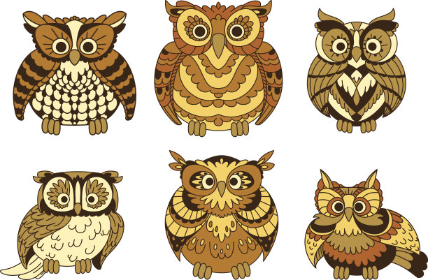 可爱的棕色卡通猫头鹰鸟图片下载