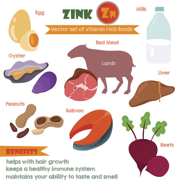 维生素和矿物质食物插图5。向量的集合图片下载