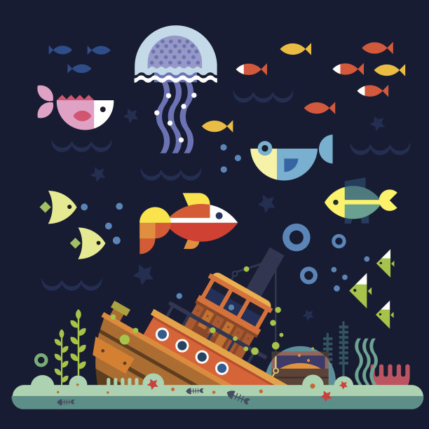 海洋生物。海底世界图片下载