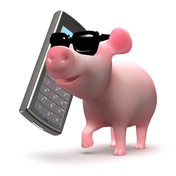 可爱酷的小猪在手机上聊天图片下载