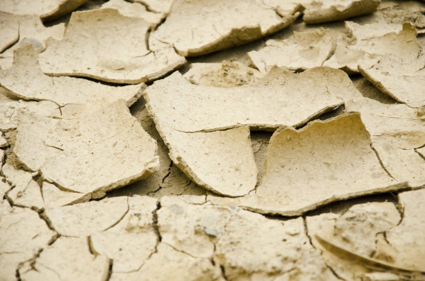 干土五图片下载