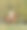 年轻女子骑着马穿过森林图片下载