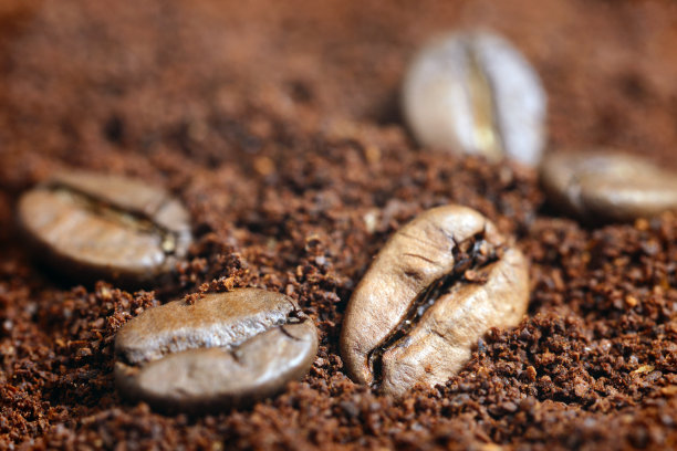 咖啡粉背景上的咖啡豆图片下载