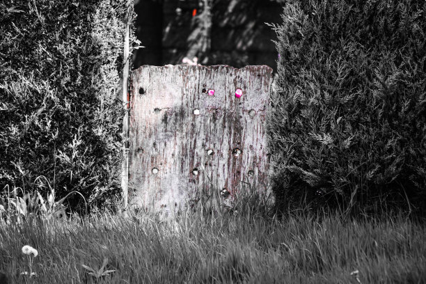 秘密花园图片下载