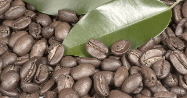咖啡颗粒和树叶图片下载