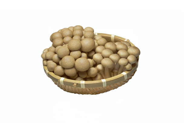 放在桌子上的豆子图片下载