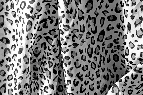 黑豹织物纹理黑白相间图片下载