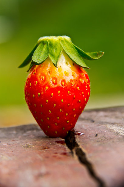 一张桌子上的新鲜草莓的特写图片下载