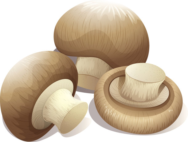 鲜蘑菇三片图片下载