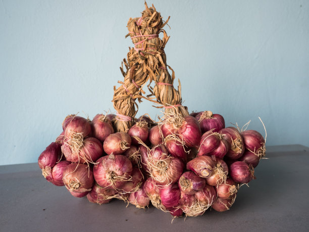 红洋葱群图片下载