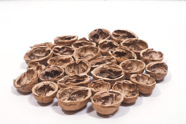 胡桃壳图片下载