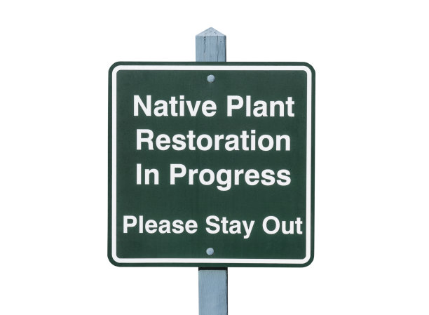 原生植物恢复标志隔离图片下载